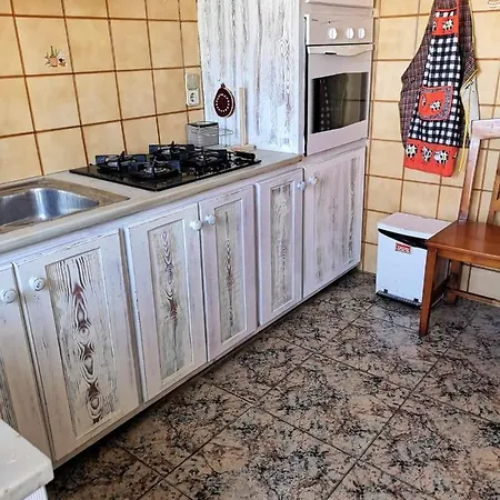 Spacious House In With Terrace Holiday home *